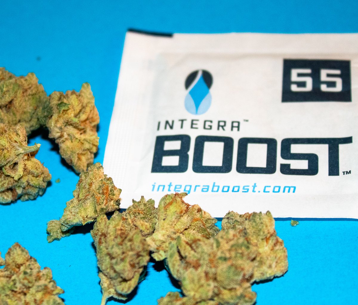 IntegraHerbal's tweet photo. Fresh Bud + Integra Boost = ๐
.
.
.
.
#cannabis #cannabiscommunity #bud #weed #Boostyourbuds #Integraboost #terpenes #humiditycontrol https://t.co/hkCIARrJwu