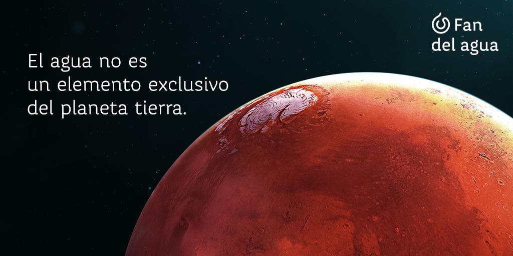 Fan del Agua tweet media