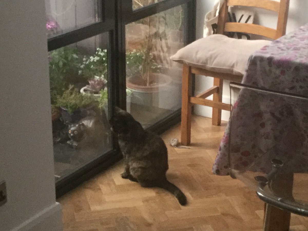 Wish it would stop raining.