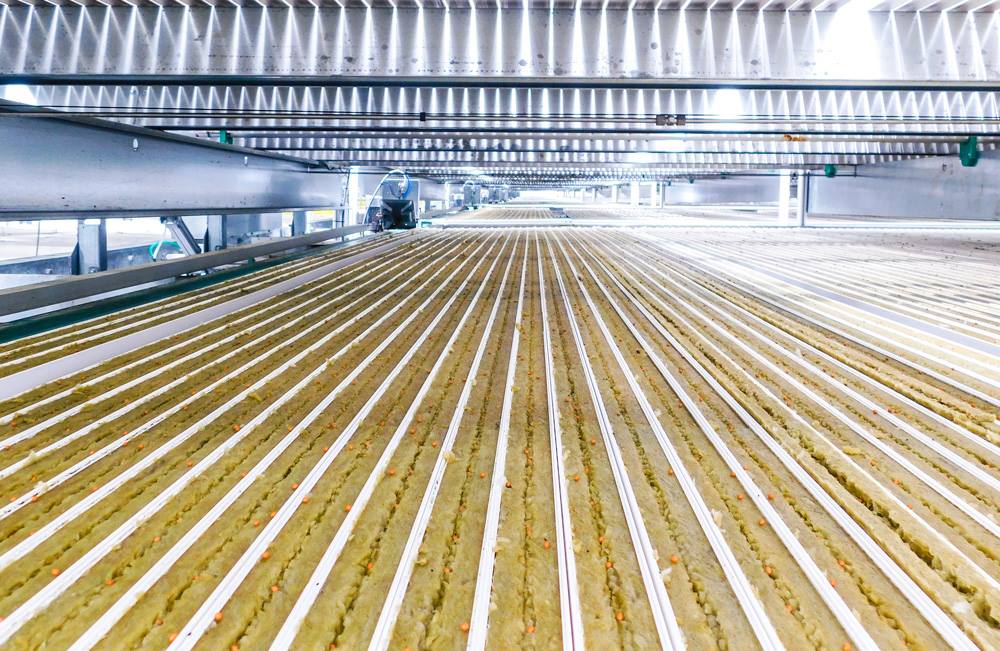 LittleLeafFarms's tweet photo. Where it all begins. In thirty days or so, these rows of tiny seeds will transform into full grown baby greens. https://t.co/dkevjKDHe1