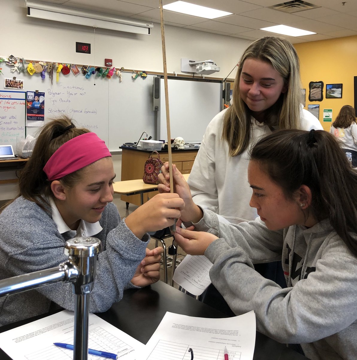 My Fabulous Science tweet media
