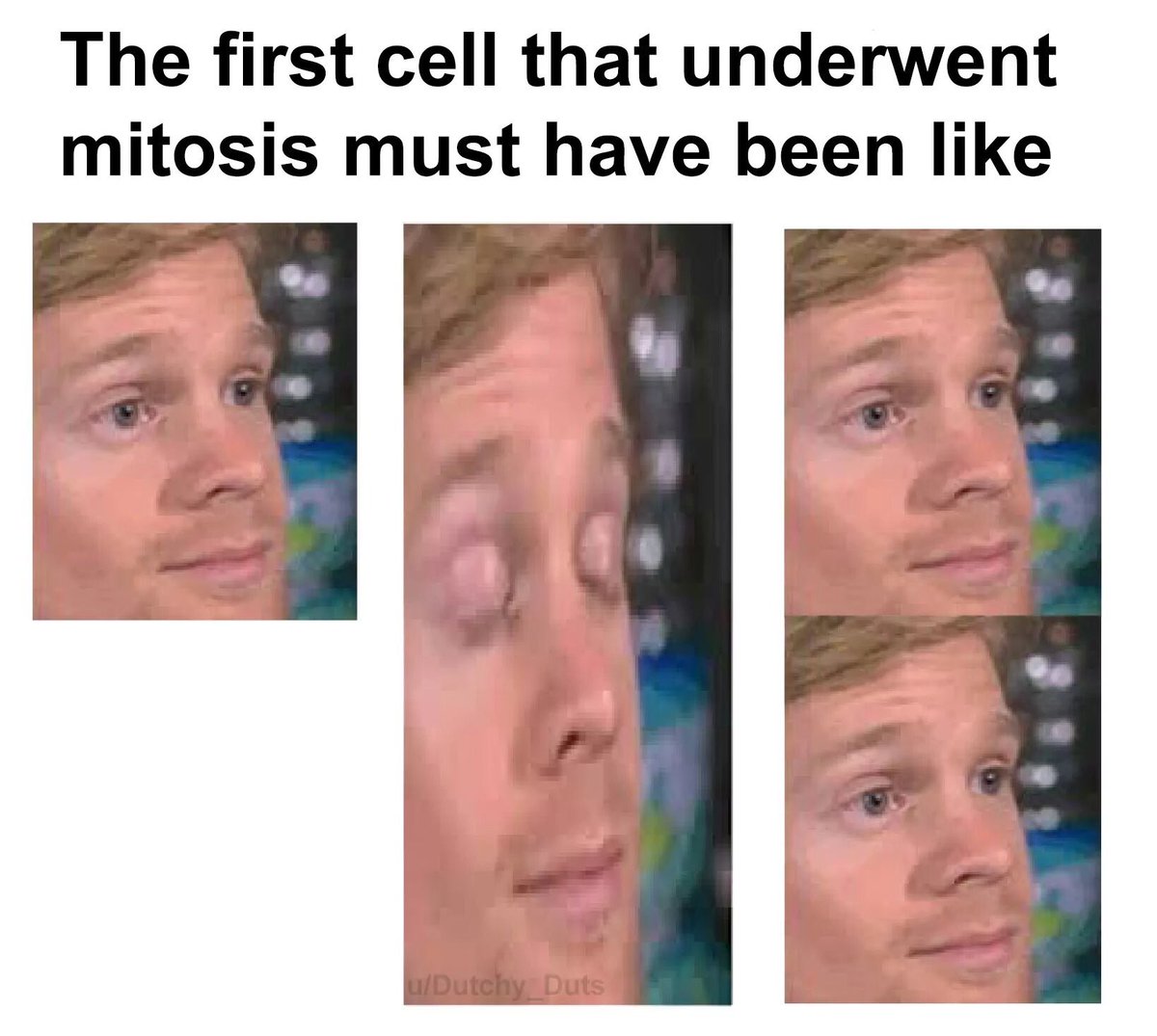 memecrashes's tweet photo. Daily all my cells 😂 https://t.co/vEciQZ4Dfn