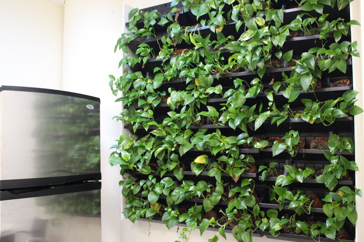 connect2canada's tweet photo. Earlier this year, @CanEmbUSA received @USGBC’s #LEED Platinum certification for implementing building improvements & greening initiatives. One example ➡️ “green walls”🌿 installed throughout the Embassy – helping improve air quality! https://t.co/FDisL9slPJ #greeningembassies https://t.co/RrJDyMMR5D