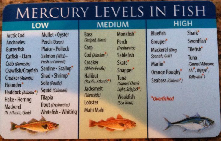 Seafood Mercury Levels Chart