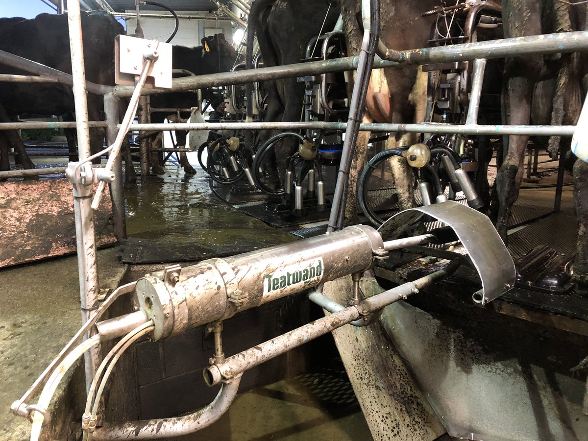 Back to using the old faithful Cambrian yet again after the auto sprayer stopped working for the 3rd time this month!! Lucky I have plenty of staff!!!🤷‍♂️🤬