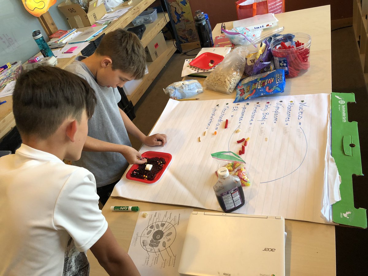 Making letters out of clay and cells out of candy... just a couple ways that we make learning come to life here at VSA! #multisensory #makelearningfun #cell-abrate #dyslexia #vsarocks