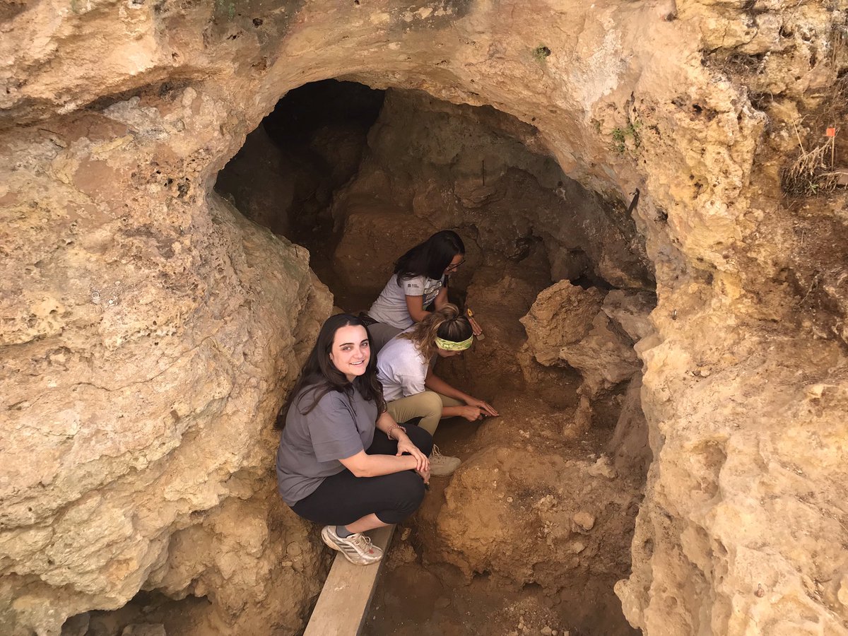 JuanLuisArsuaga's tweet photo. Y en el interior había un cubil de hienas. Aquí se han encontrado tres muelas de un neandertal . Se lo xcava para intentar encontrar más restos neandertales. #PinilladelValle #ValledelosNeandertales #yacimientos . Si quieres preguntar hashtag #Pinillapregunta https://t.co/Y6oepUuxH9