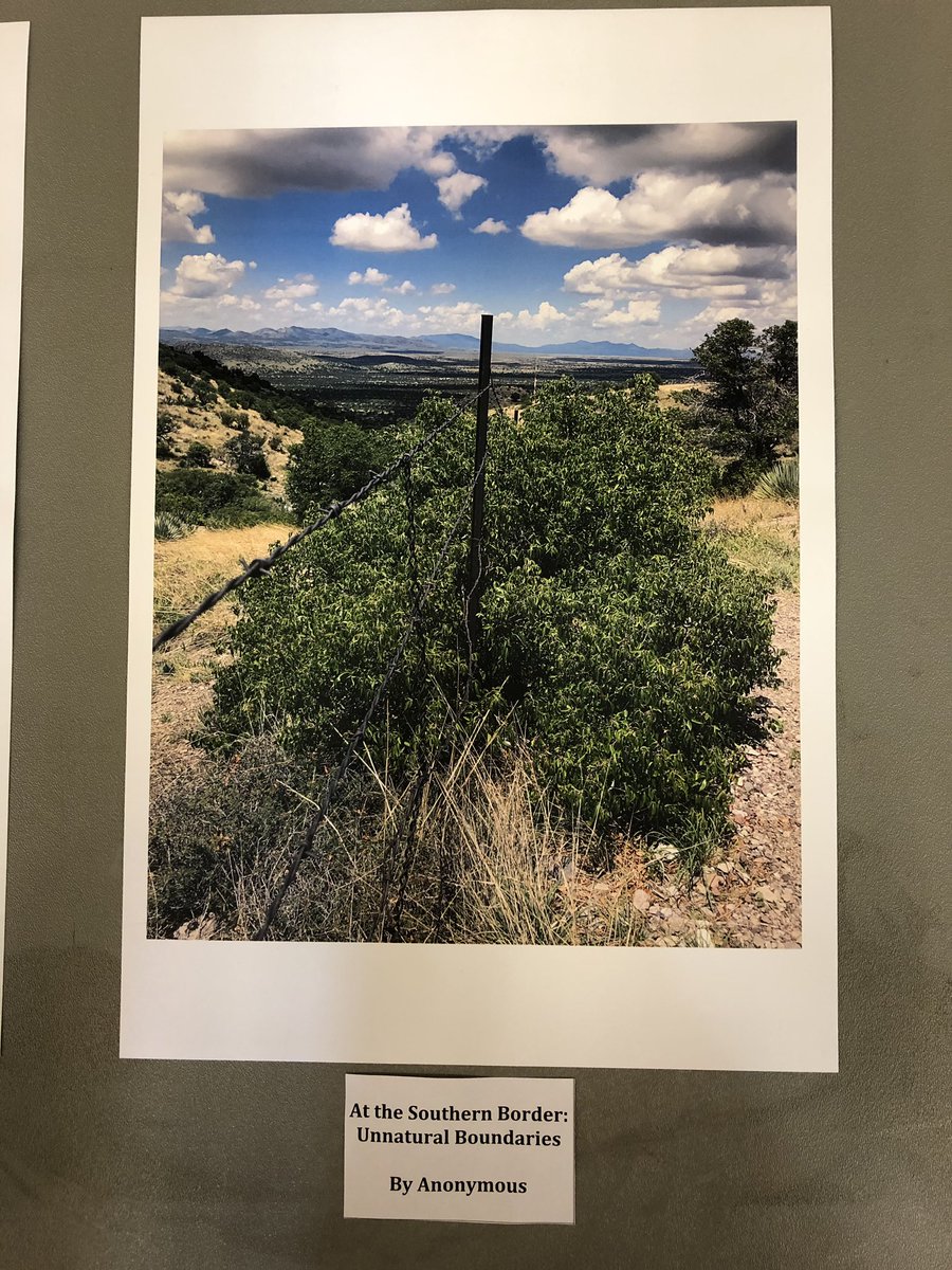 Erin Cranor tweet media