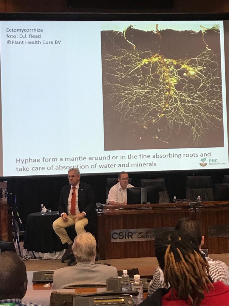 talborne's tweet photo. @PHC_PiusFloris, Director of Plant Health Cure, Netherlands ��🇱 presented a fascinating teaching on the “Difference between Soil Biology and Root Biology” at the Fertilizer Association of Southern Africa 2019 Symposium on 22 August in Pretoria. https://t.co/WaviB85EKF