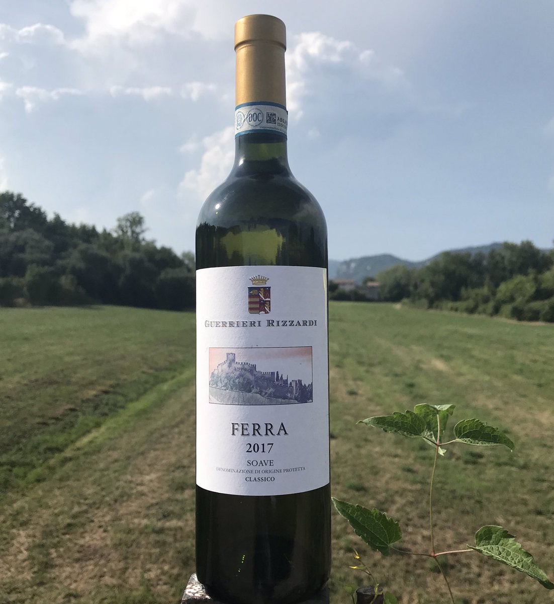 rizzardiwines's tweet photo. #newlook #ferra #newvintage #2017
#singlevineyard #topsoave #onebarrel made🌳555 cases of six #rarewine #soave #classico #volcanicwine #volcanic #soil #guerrieririzzardi #winery #vineyards #madeinitaly #vino #wine #wineislife https://t.co/ZpmukevXCJ