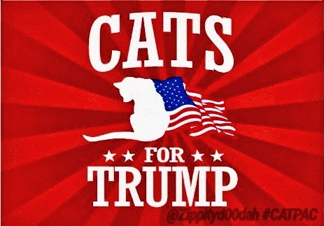 PVHenryConLLC's tweet photo. @KarmaTrumps @bell_bellgon @JudgeFudge5 @csinut1 @AndredeVegte1 #CATPAC Message Approved and Paid by
CATPAC
Felines Uniting Republicans a Registered 441(a)(D) Organisation and Subsidiary of Cats Fur Trump 501(c)(4)
Four-Leggeds For Trump
#CATPAC
#ClawsOut
#LegaliseTheNip https://t.co/7rNlBwnkzr