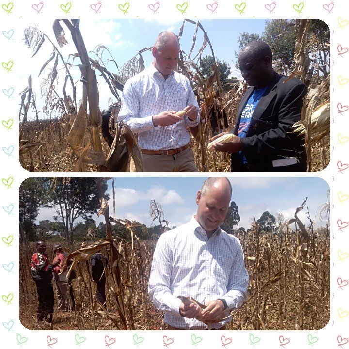 "Sometimes when Agripool comes for Advice services,not just finish the workshop &amp; remain in town, It's good to get involved and visit fieldwork <a href="/Agriterra/">Agriterra</a> #Tanzania <a href="/WilWijtsma/">WilWijtsma</a> <a href="/Mikidaditz/">MikiDadi Waziri</a> <a href="/RaymondLyimo2/">Raymond Lyimo</a> <a href="/MwendaDK1/">Mwenda D.K</a> <a href="/Agripool_advice/">Agriterra Agripool</a>