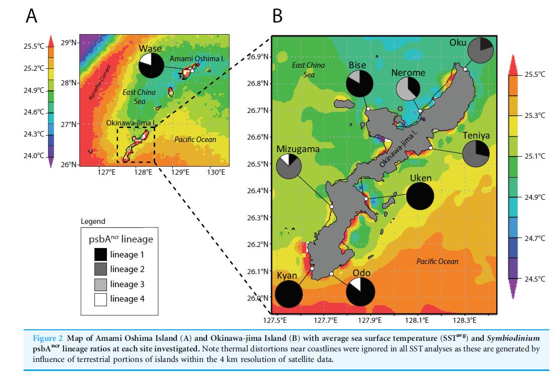 download numerical models of oceans and oceanic processes