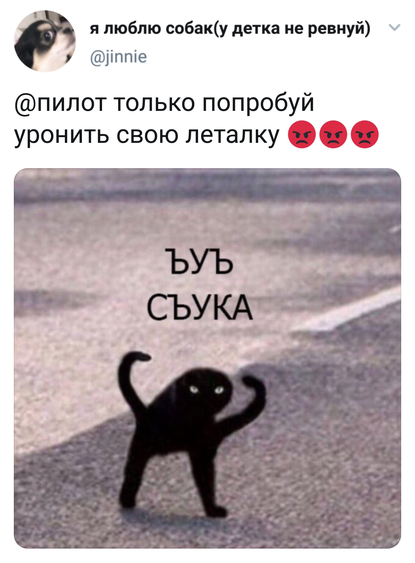 не надо усукаблять картинки