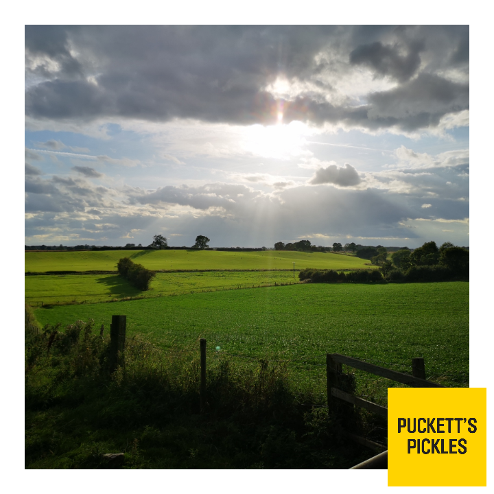 PuckettsPickles's tweet photo. And did those feet in ancient time, walk upon England's mountains green.........
A very William Blake view for our walk this evening, seems rather appropriate
#eveningwalk #jerusalem #williamblake #moodysky #lushgrass #pasturesgreen #naturalgoodness #British #countryside https://t.co/iyvAXpyNQG