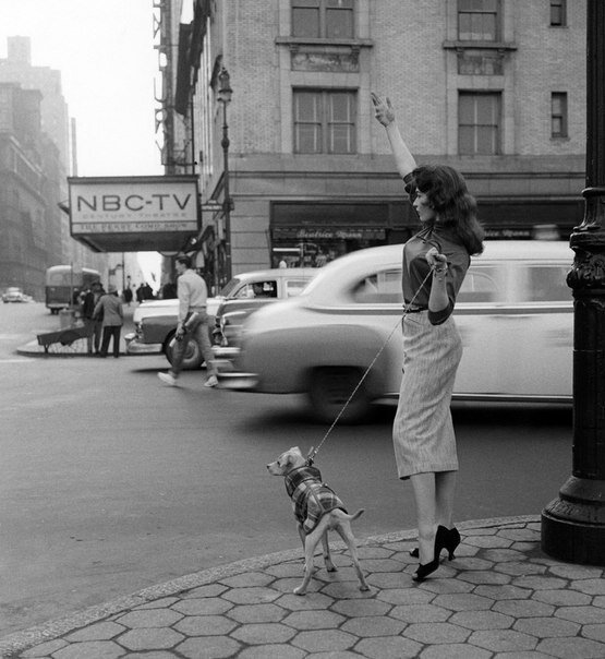 Девушка ловит такси, Нью-Йорк, 1956 #память_в_кадрах