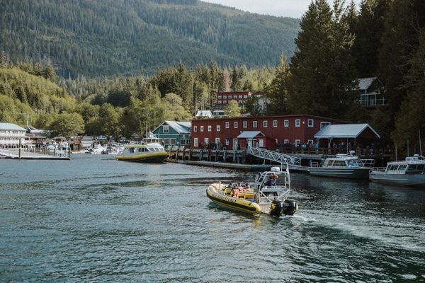 Fuertemag's tweet photo. Embark On A Responsible Marine Tour With Prince Of Whales https://t.co/hLjyhxcJ12 https://t.co/4Yx0CQMMrK