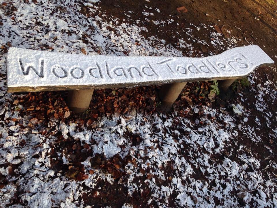 Woodland Coffee Stop, Ecclesall Woods, Sheffield. tweet media