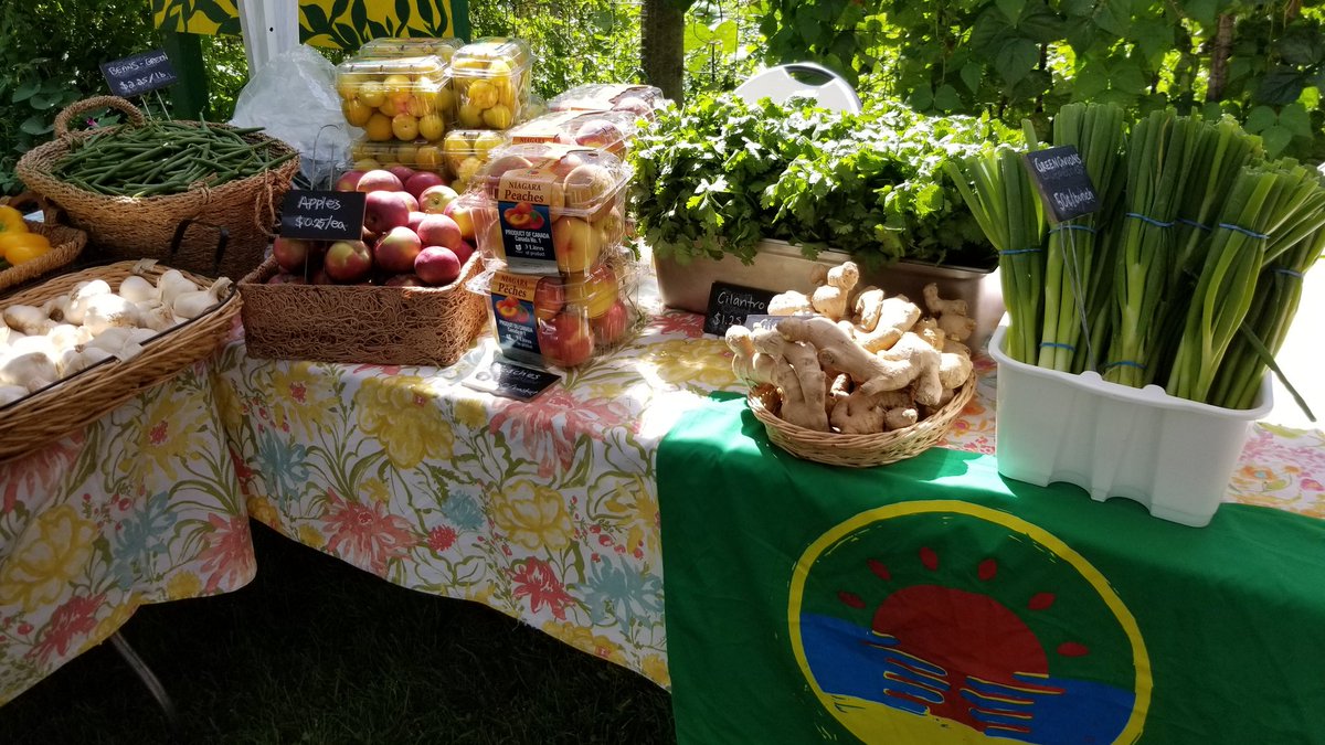 All set for the #Parkdale #GoodFoodMarket, 3-7pm in #MasarykPark!