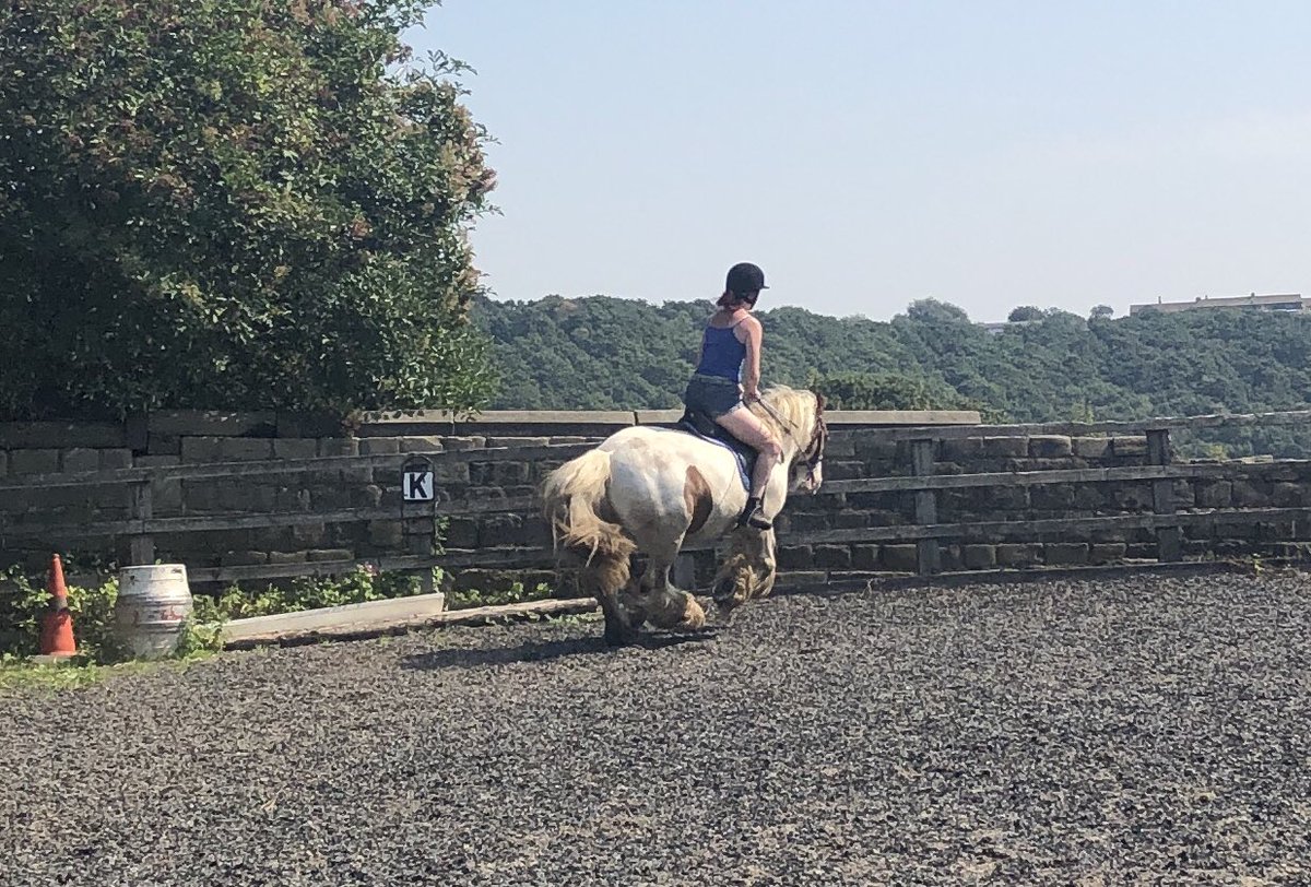 PressFresh's tweet image. 