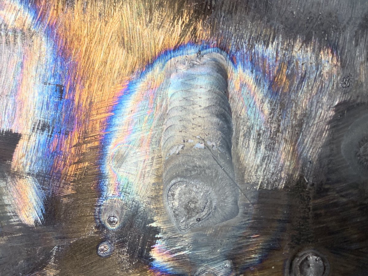 GhoulBear_'s tweet image. My first attempt at #walkthecup in #weldingschool I love that braid look ❤️ #weldingstudent #tiglife