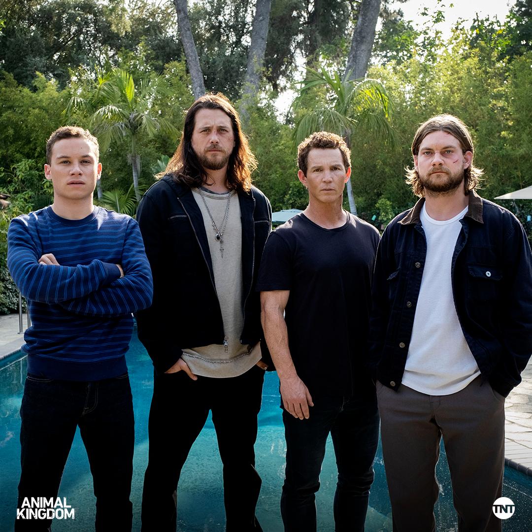 Animal Kingdom on Twitter: Animal Kingdom on Twitter: