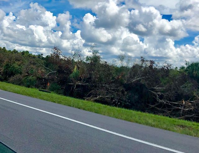 jeffsheehan's tweet photo. So thrilled to see the progress which Virgin Rail is making in clearing for the right-of-way between #Orlando &amp; #Cocoa as part of the high-speed rail between Orlando and #Miami . #rail #VirginRail #FL https://t.co/xcbyQTrd4q https://t.co/HlPHVesBFK