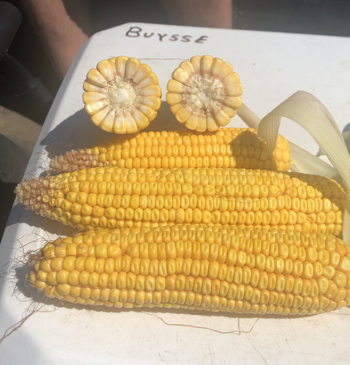 #Michlig19 152 bpa - north of Manlius