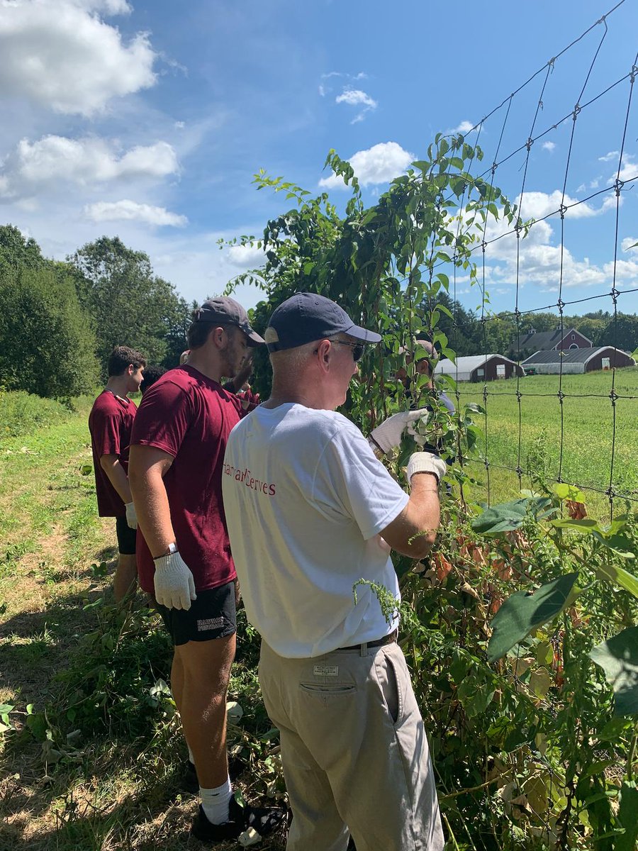 harvardcrimson's tweet photo. Today we were honored to lend a hand for the @harvard class of 2023 day of service! #GoCrimson https://t.co/RIcEGs3ESO