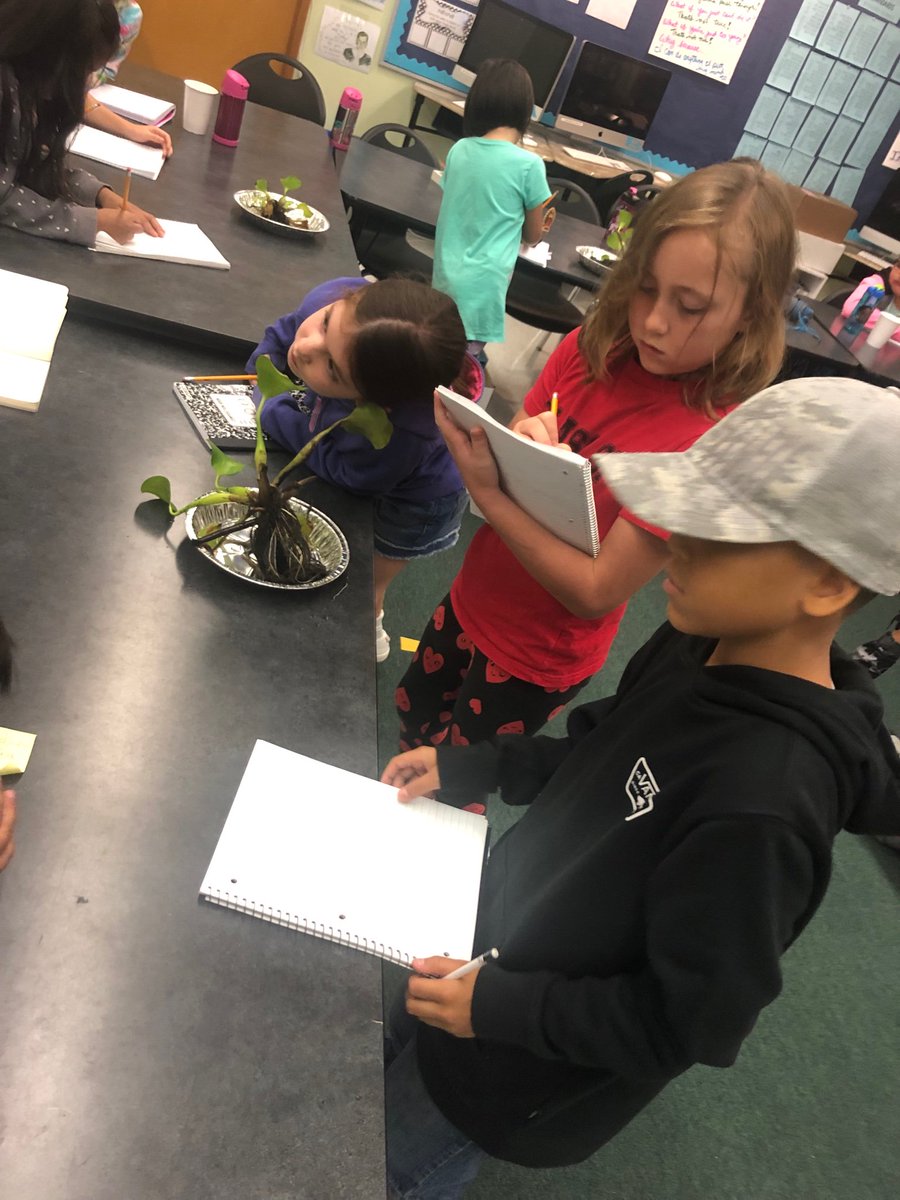 alengnickhall's tweet photo. We are scientists! Making observations and recording data on pond water. @AISD_Science #aisdproud #cunninghamcreates https://t.co/pxOG3tE7uD