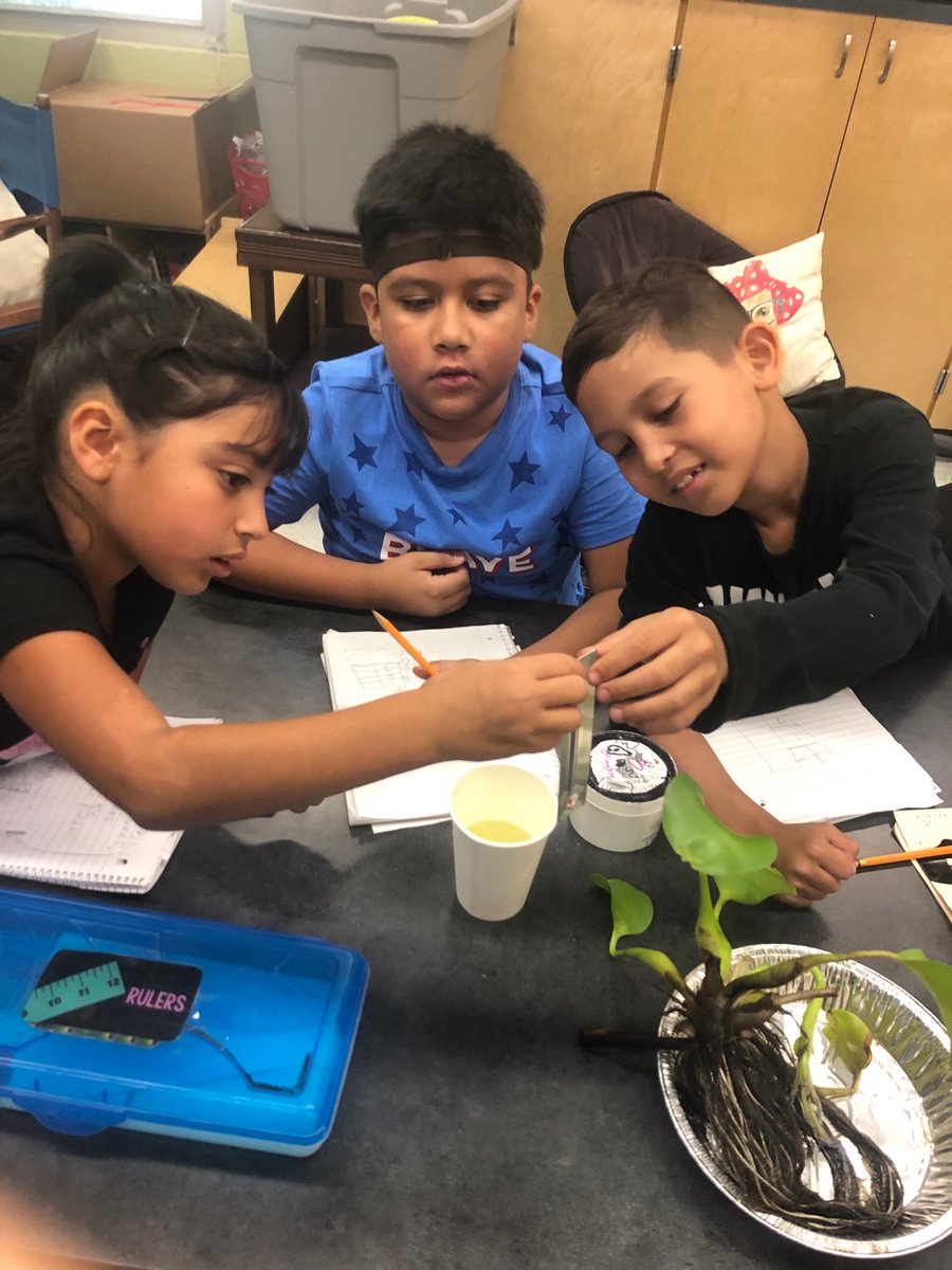 alengnickhall's tweet photo. We are scientists! Making observations and recording data on pond water. @AISD_Science #aisdproud #cunninghamcreates https://t.co/pxOG3tE7uD