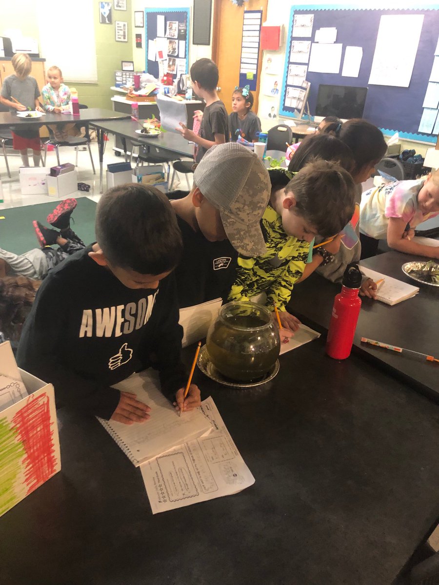 alengnickhall's tweet photo. We are scientists! Making observations and recording data on pond water. @AISD_Science #aisdproud #cunninghamcreates https://t.co/pxOG3tE7uD