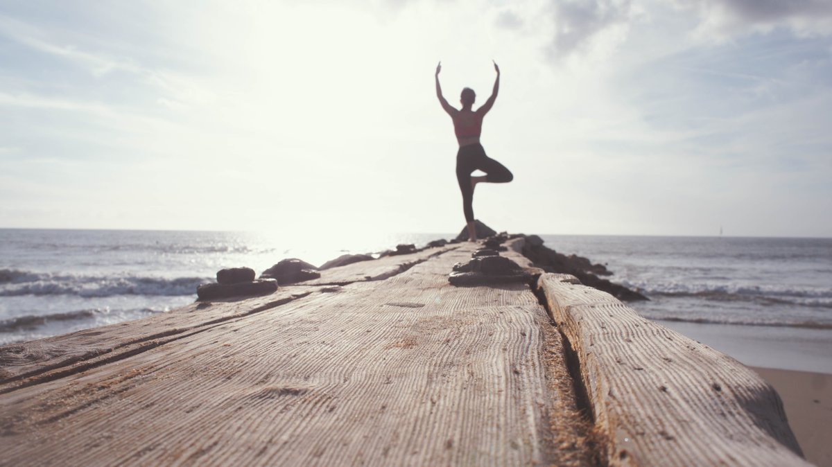 Yoga Seed Collective tweet media