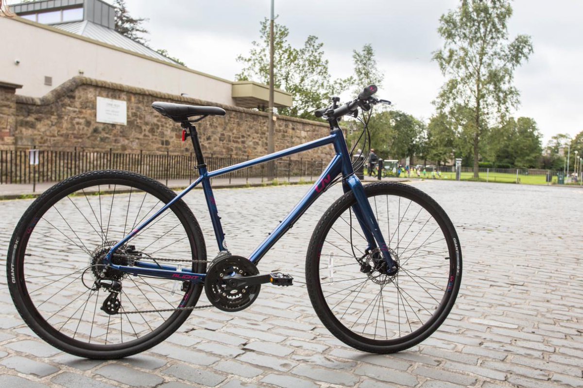 alight bike buy clothes shoes online