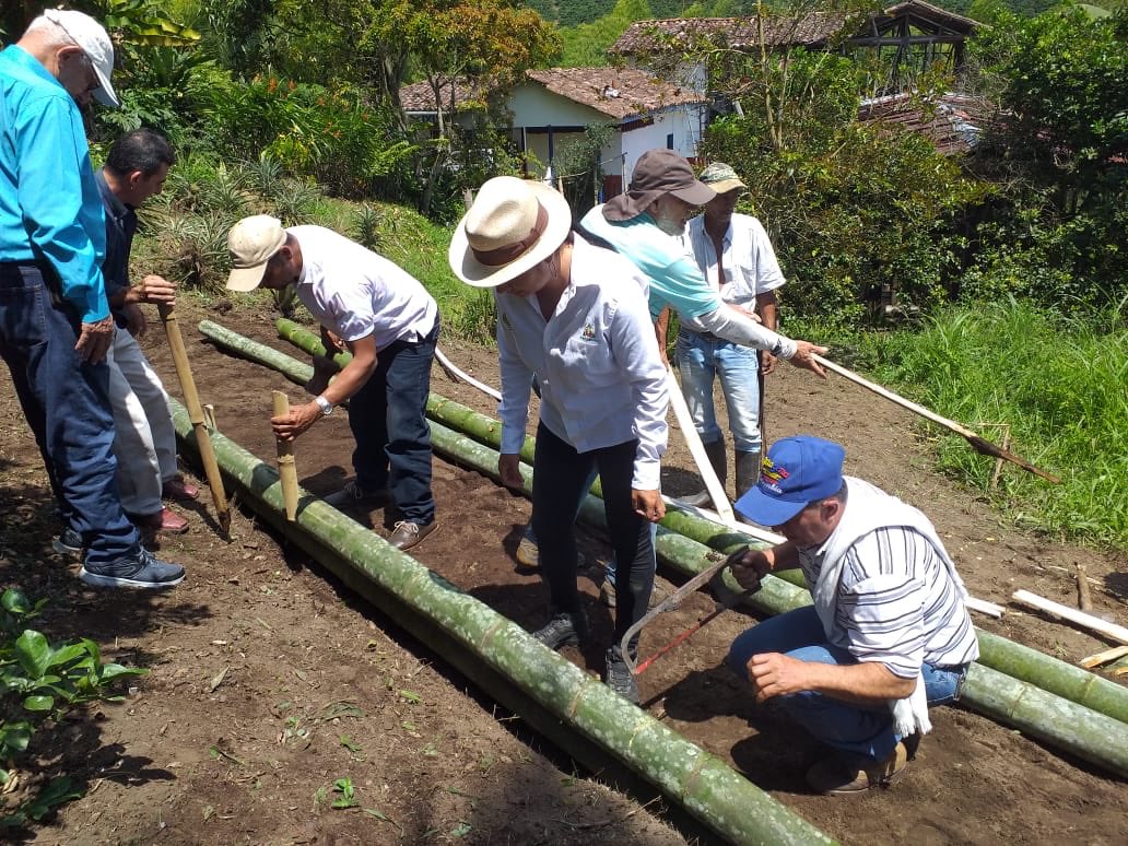 Escuela de campo a  productores de Platano de la organización ASOFRUHOPAL del municipio PAlestina en el marco del  PNFH 2019. Enfocado a la construcción de túnel de propagación de semilla.