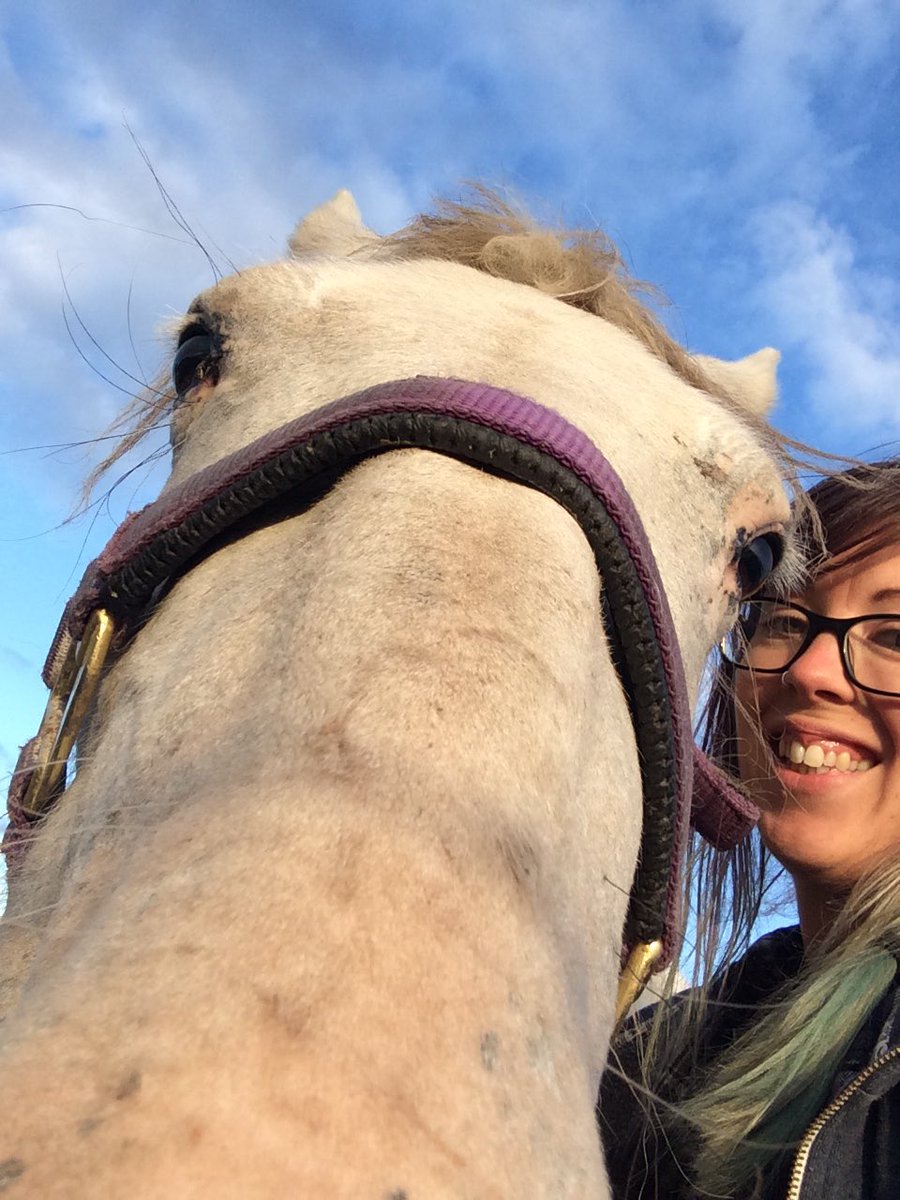 ChloeDalglish's tweet photo. After a week of refusing to be caught, I CAUGHT MY PONY! So tired this week & this has made me very, very happy. Whoโs taking bets sheโs gonna run the opposite way tomorrow? ๐ #wildpony #projectpony #appaloosa #horse https://t.co/wKJHpSWbse