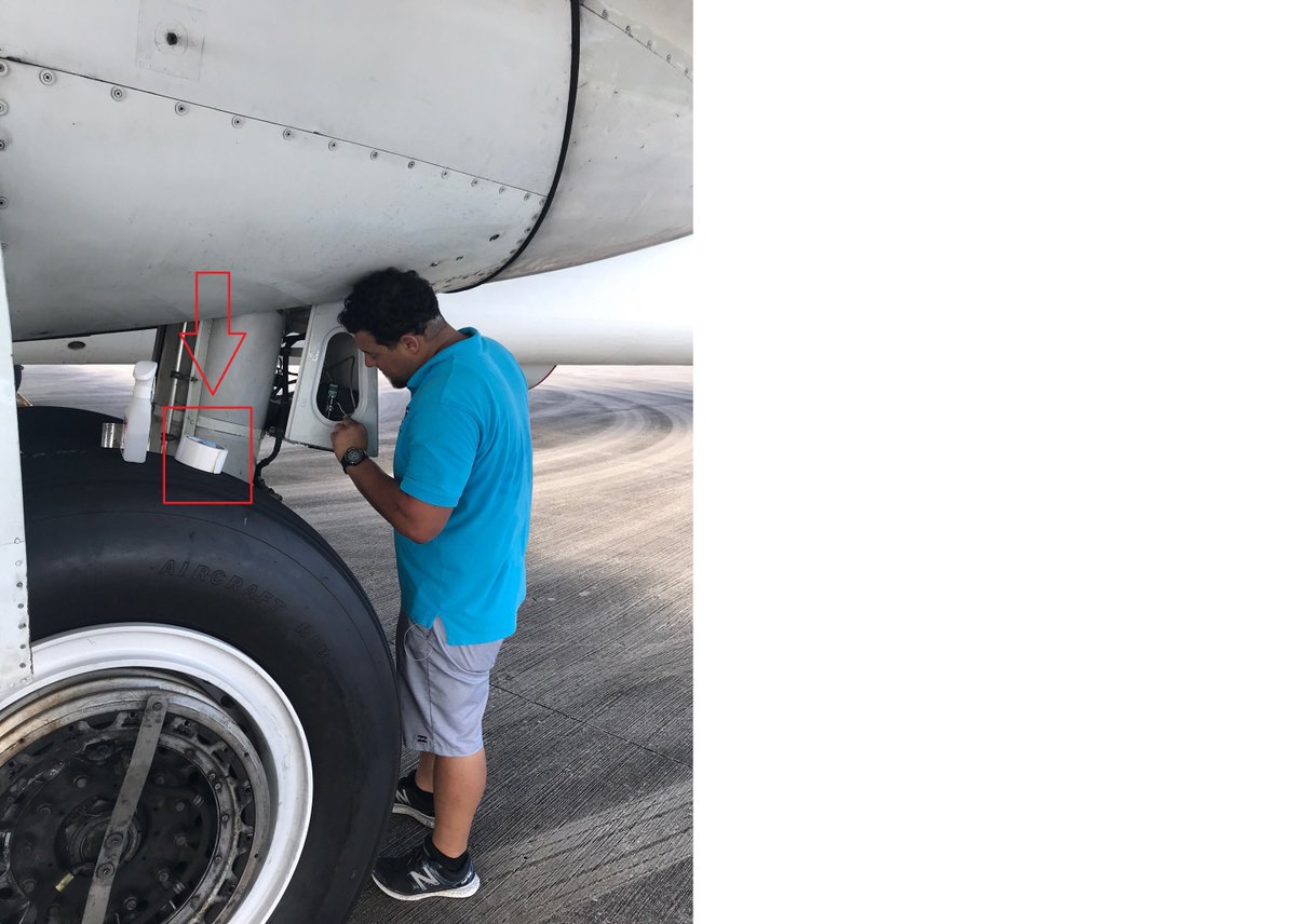 Matthew Fiedler tweet media