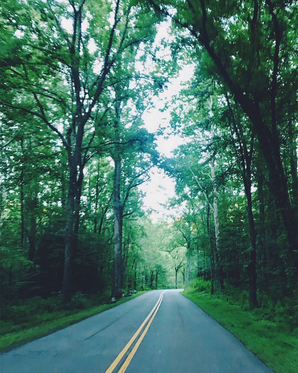 soundrobinapp's tweet photo. Going on a road trip? Check out #soundrobin in the App Store and let everyone vote on the songs being played!🎶🛣 #music #app #roadtrip https://t.co/3WoTmBJgeb