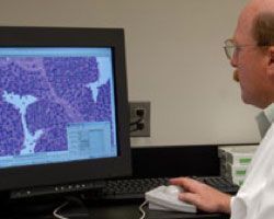 EPLinc's tweet image. EPL's Image Analysis &amp;amp; Digital Quantification is designed to accurately and cost-effectively support your clinical development programs. buff.ly/2FdTcbE #clinicalresearch