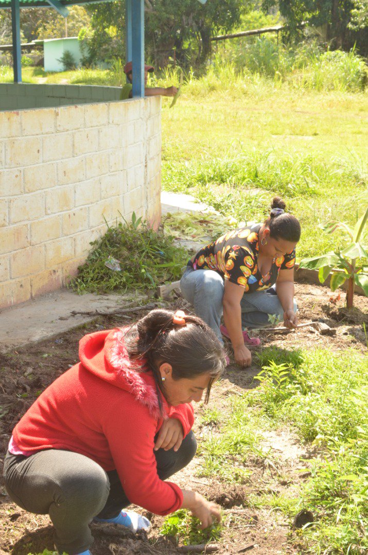 GobAmazonas's tweet photo. #EnFotos📸 I ¡PRIMERA COSECHA EN ACUARIOS🐟AMAZONAS C.A.!

Con este importante logro podremos realizar distintos tipos de alimentos de forma alternativa, asegurando los componentes necesarios a base de Maíz, Pira, Yuca y proteína animal

#AmazonasIndetenible #VenezuelaInvencible https://t.co/Du97ue2pSn