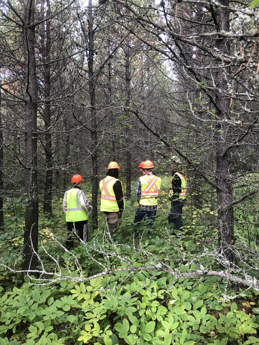 stauffer_g's tweet photo. This morning I took @UofAALES Forestry Fall Field School out for a tour of the Blue Ridge FMA. Discussed progeny sites, bridge and watercourse crossings, growth and yield, and much more. What a great bunch of incoming students! Really enjoyed my time with them. #ffs #westfraser https://t.co/zNiAN5o8vr