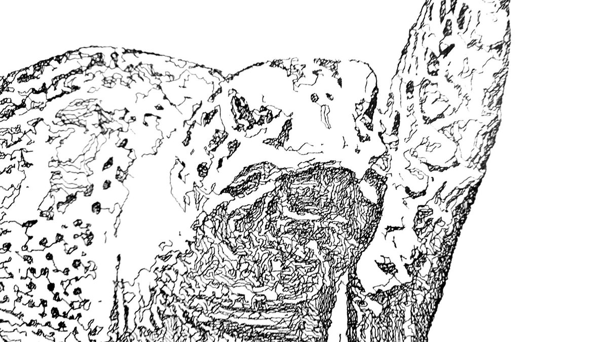 JSProudlock's tweet photo. #plottertwitter, endangered species. 4th image is a blooper. https://t.co/UIHpoXYmTi