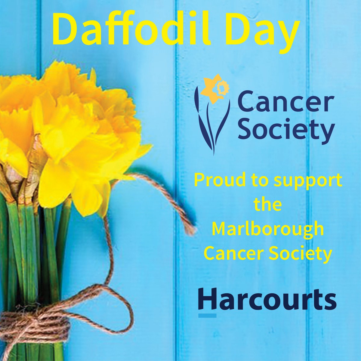 HarcourtsMarlborough tweet media