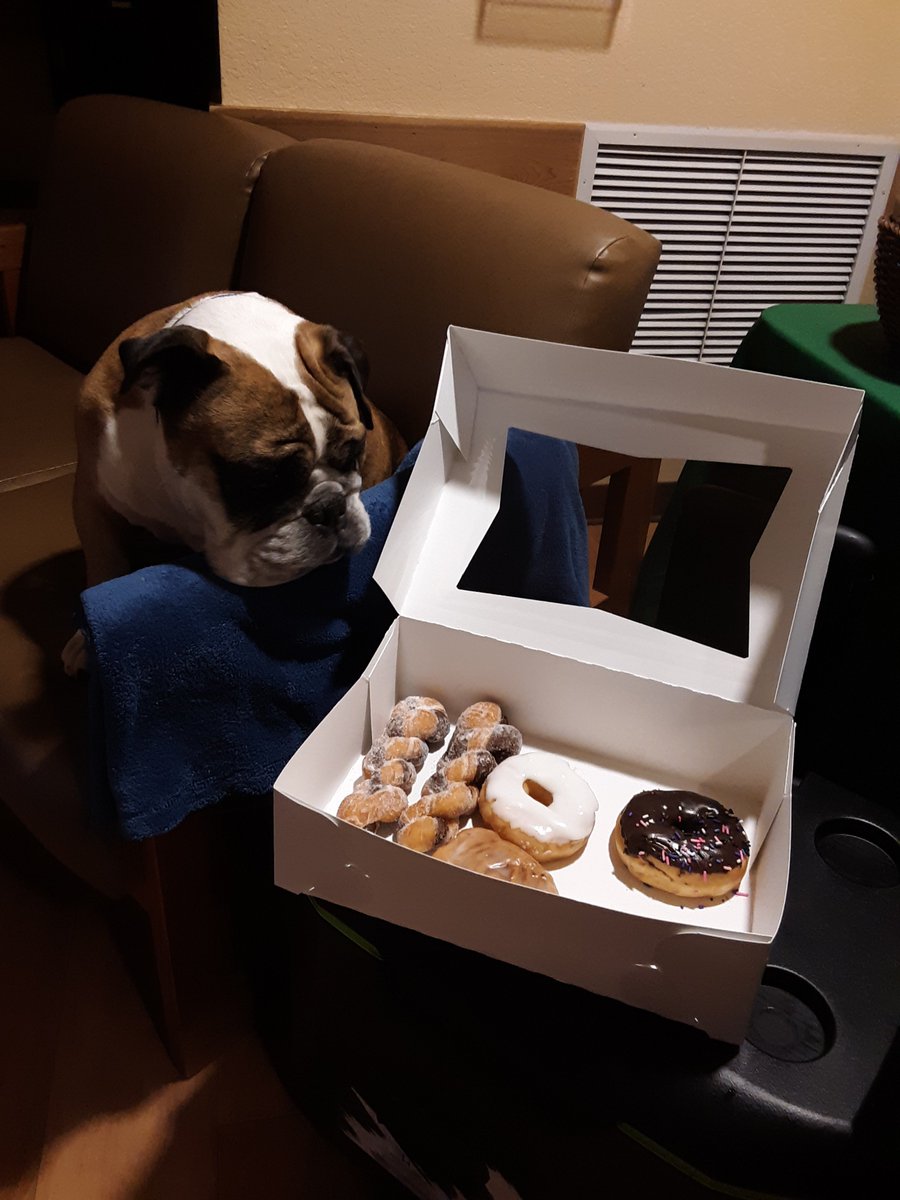 HAWS_Waukesha's tweet photo. @HAWS_Waukesha has put out a BOLO for the 2020 edition of the Cops & Paws calendar!!! Publication date TBA; if today's photoshoot was any indication, it will be a GRRRRREAT year #CaringCommunity #SupporttheHAWScause @WaukeshaSheriff @WaukeshaPD https://t.co/f5RsnjosO4