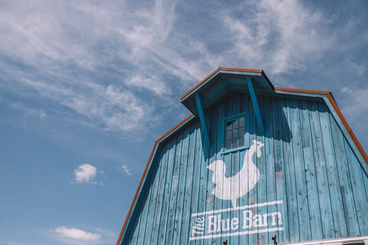 BlueBarnMN's tweet photo. Loving this gorgeous weather... we look forward to seeing you! Remember to tag us so we can see how much fun you're having at #bluebarnmn! 
📷 @PryesBrewing https://t.co/GByAv1cCzd