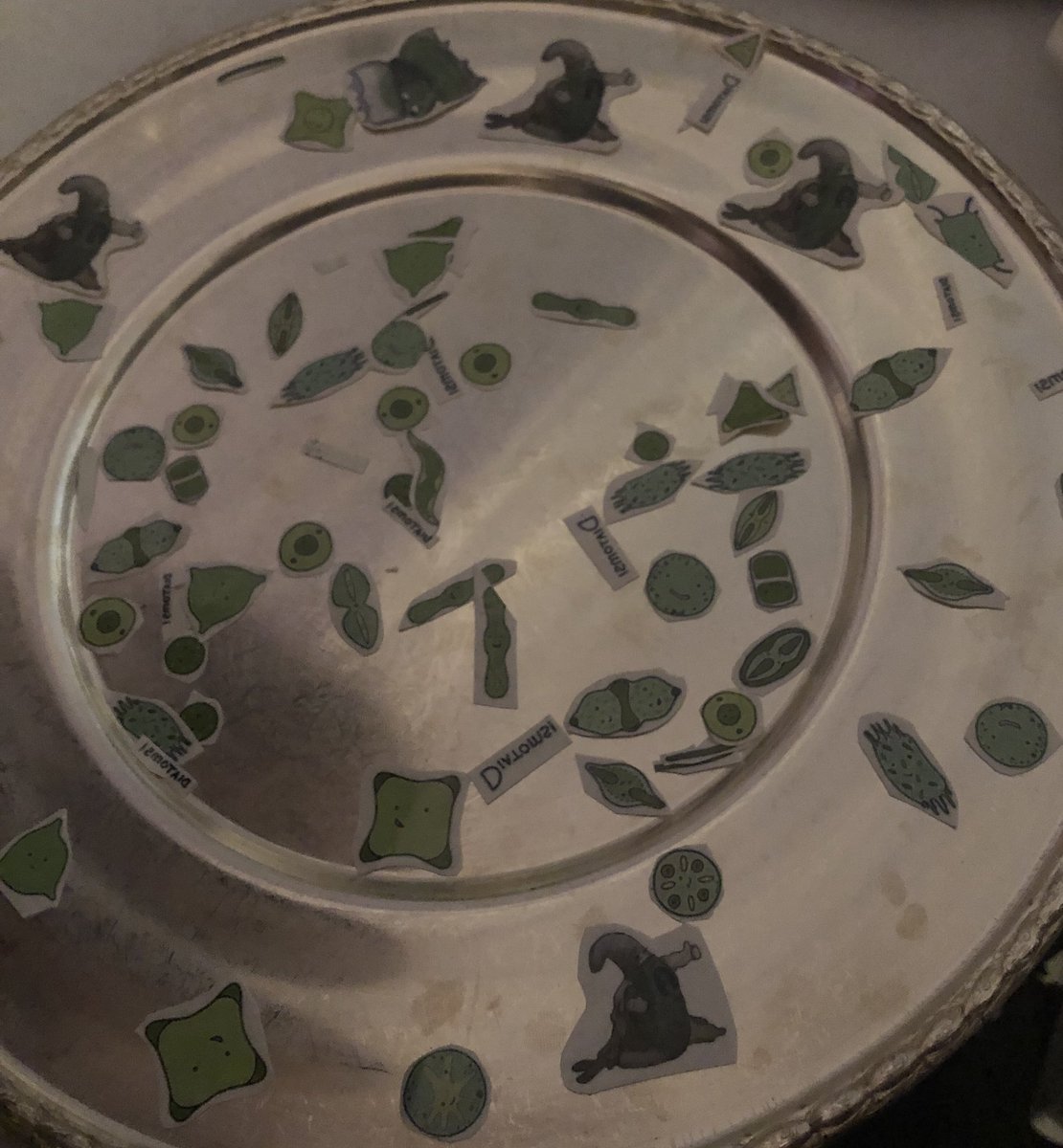 Charlotte Volpe, PhD tweet media