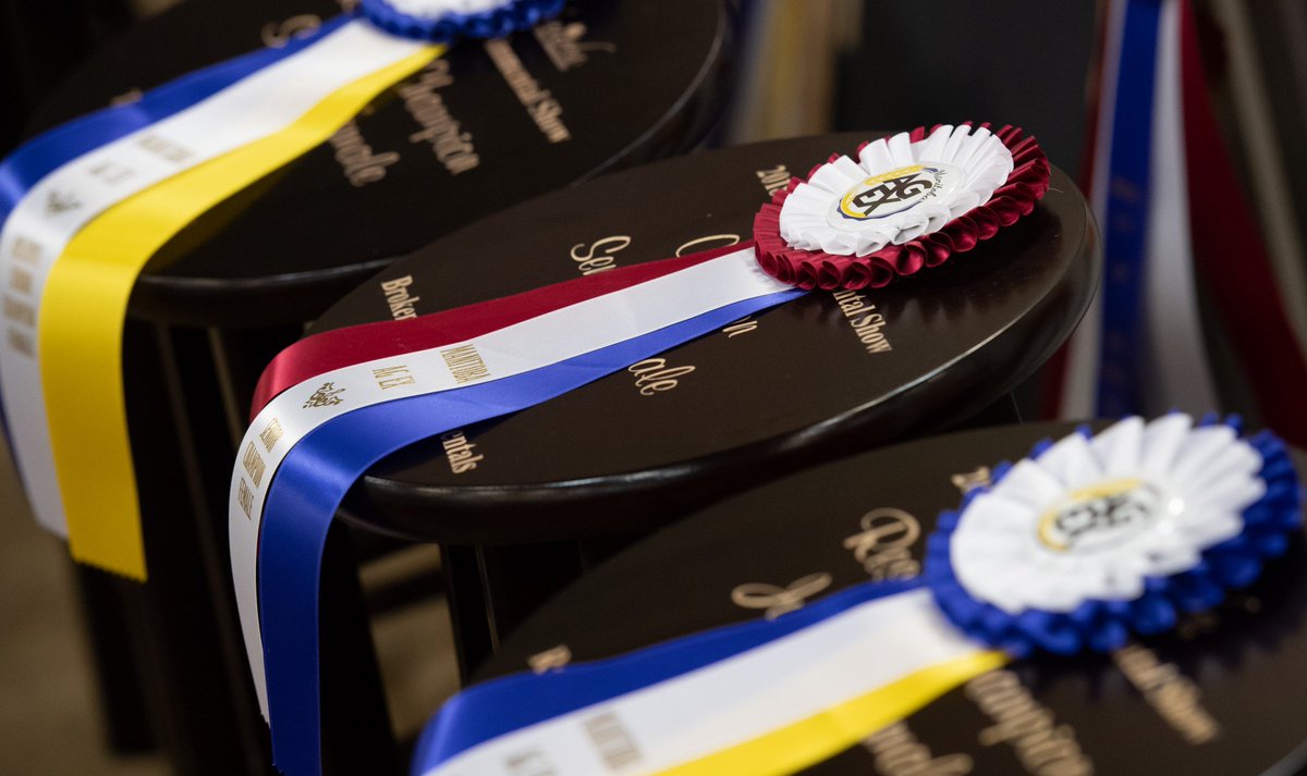 ProvincialEx's tweet photo. Interested in being a part of this years Ag Ex?!
Registration forms and details now available on our website!
Click 👇For more information!
https://t.co/ByUp7cfNDO
#RMWF #MBSummerFair #MBAGEX #cattle #cattleshow #rodeo #rodeolife https://t.co/DgdA7cmaU2