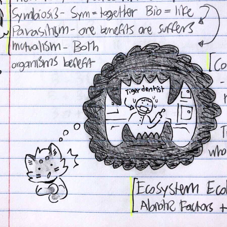 ScarfCatDraws's tweet photo. During Ethics my professor was talking about “tiger dentists”.......took me a good twenty minutes to realize he meant people who do dental work on tigers 🤦🏼‍♀️🤦🏼‍♀️🤦🏼‍♀️ https://t.co/KHUwqn4gWd
