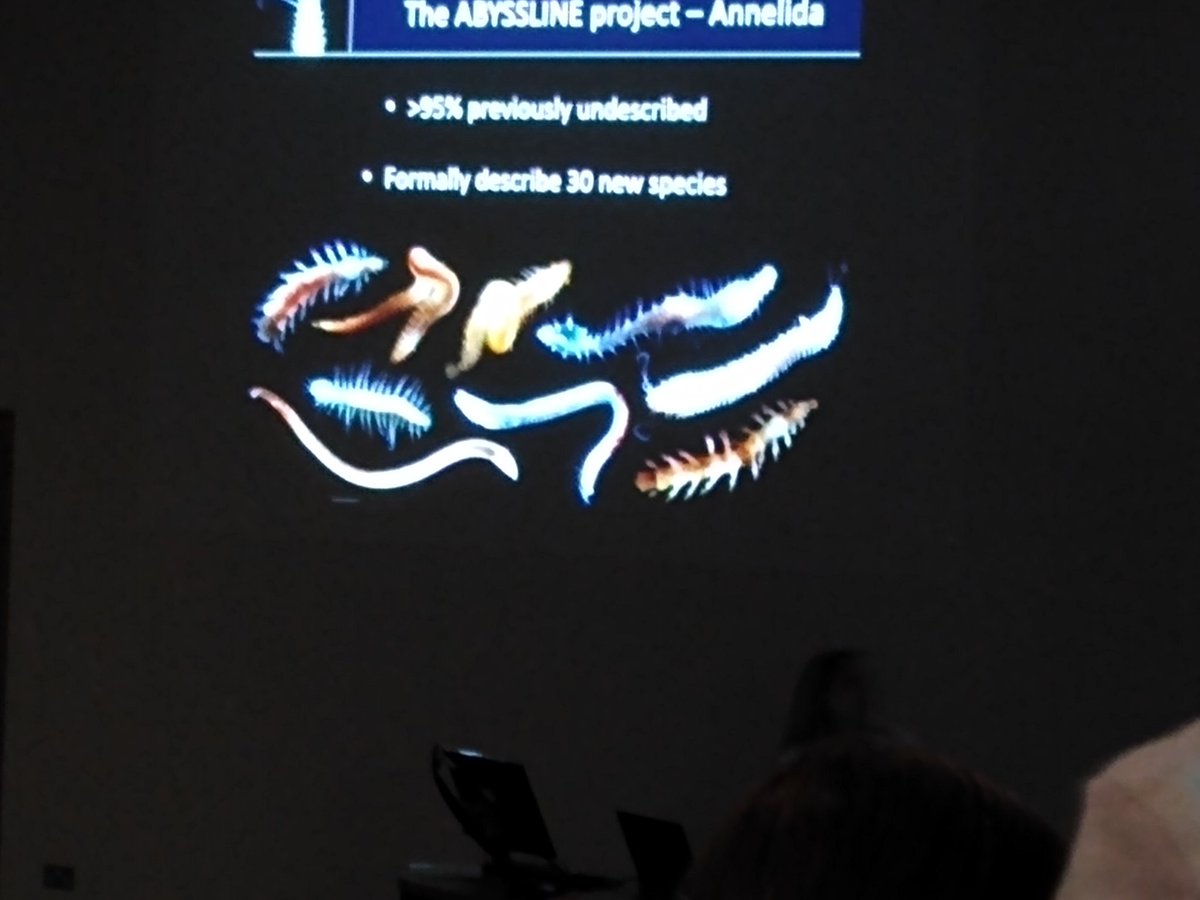 _jojonunes's tweet image. Thank you @EMBSsymposium for such a spread of inspiring research and for all the brilliant entertainment! It was epic! #EMBS54