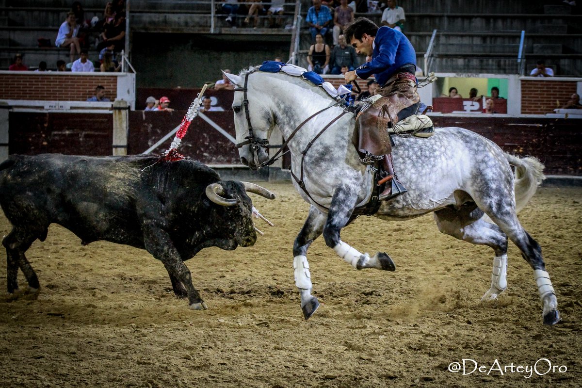 FOTOGALERÍA de la segunda de San Sebastián de los Reyes por David Checa <a href="/dearteyoro/">De Arte Y Oro</a> <a href="/ruidfernandes/">Rui Fernandes</a> <a href="/Andy_Cartagena/">Andy Cartagena</a> <a href="/SGalanOficial/">Sergio Galán</a> #SanSebastianDeLosReyes burladero.tv/festejos/2019/…